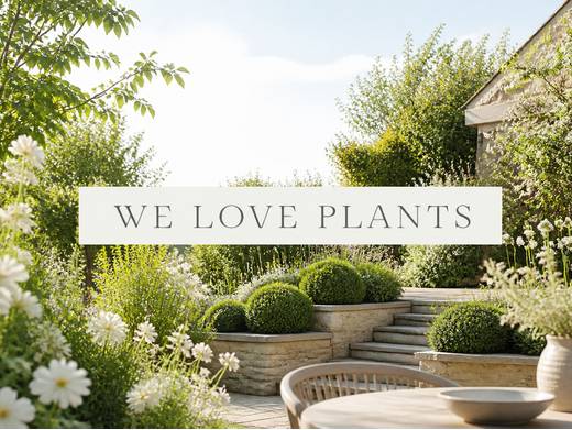 https://www.we-love-plants.co.uk/ website