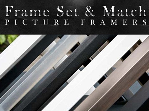 https://framesetandmatch.com/ website