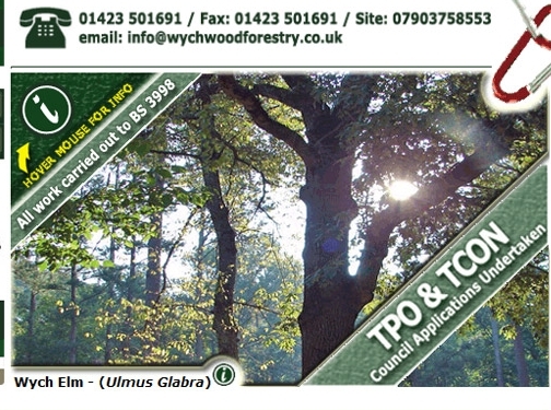 http://www.wychwoodforestry.co.uk website