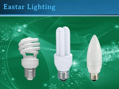 http://www.eslightbulbs.com website