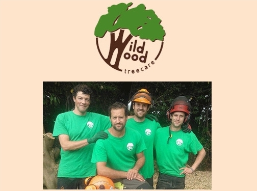 https://www.wildwoodtreecare.co.uk/ website