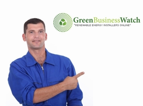 https://greenbusinesswatch.co.uk/ website