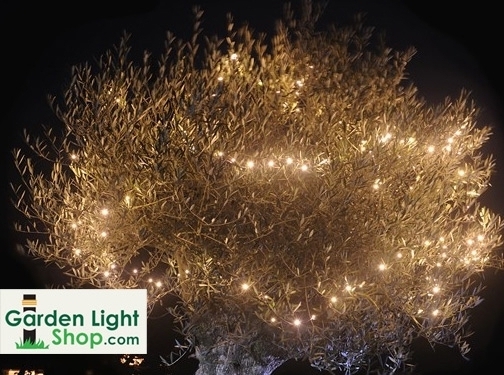 https://gardenlightshop.com/ website