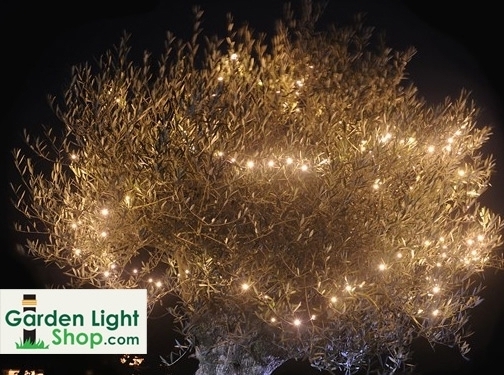 https://www.gardenlightshop.com/ website