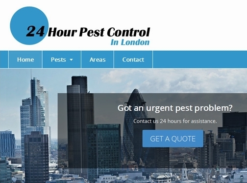 https://24hourpestcontrolinlondon.co.uk/ website