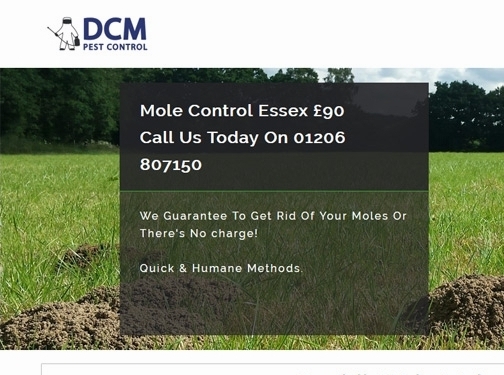 https://www.dcmpestcontrol.co.uk/services/moles-2/ website