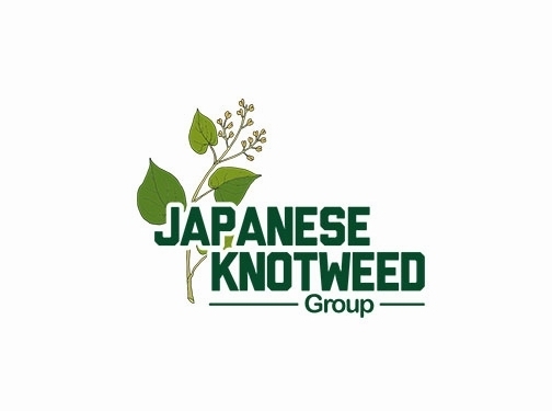https://japaneseknotweedgroup.co.uk/ website