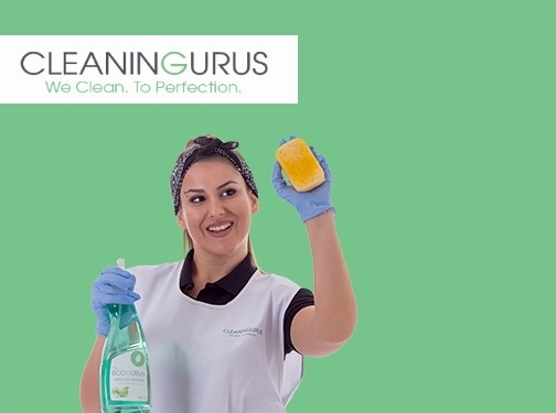 https://www.thecleaninggurus.co.uk/ website