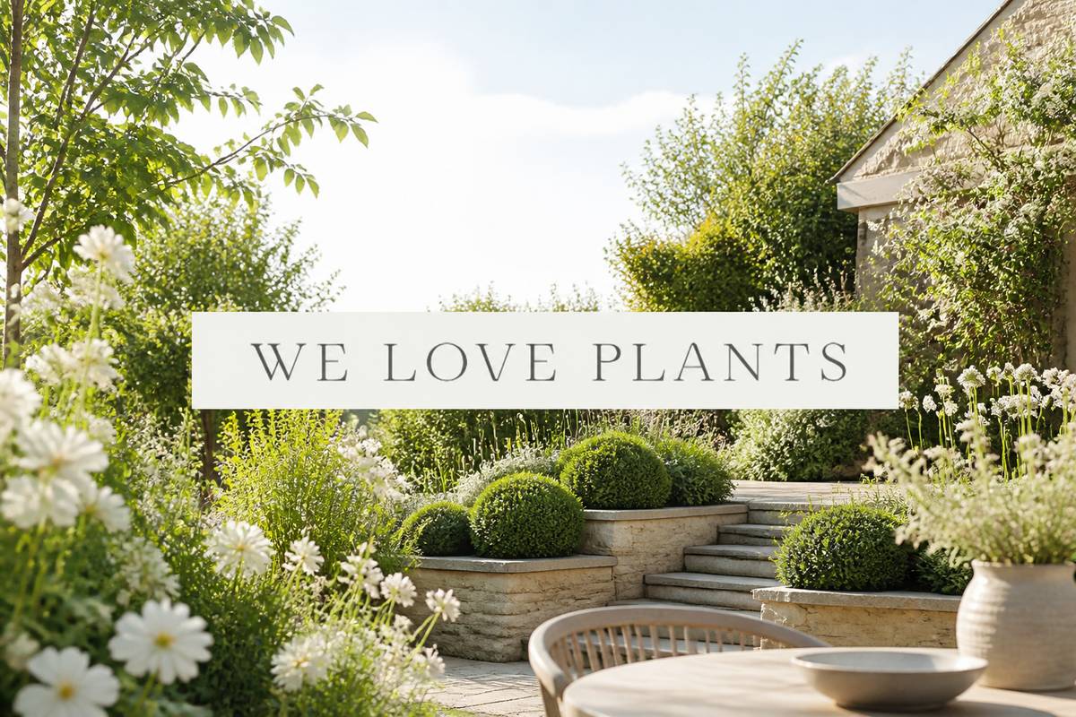 https://www.we-love-plants.co.uk/ website